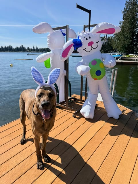 Coco's Canines facility in Arlington, WA